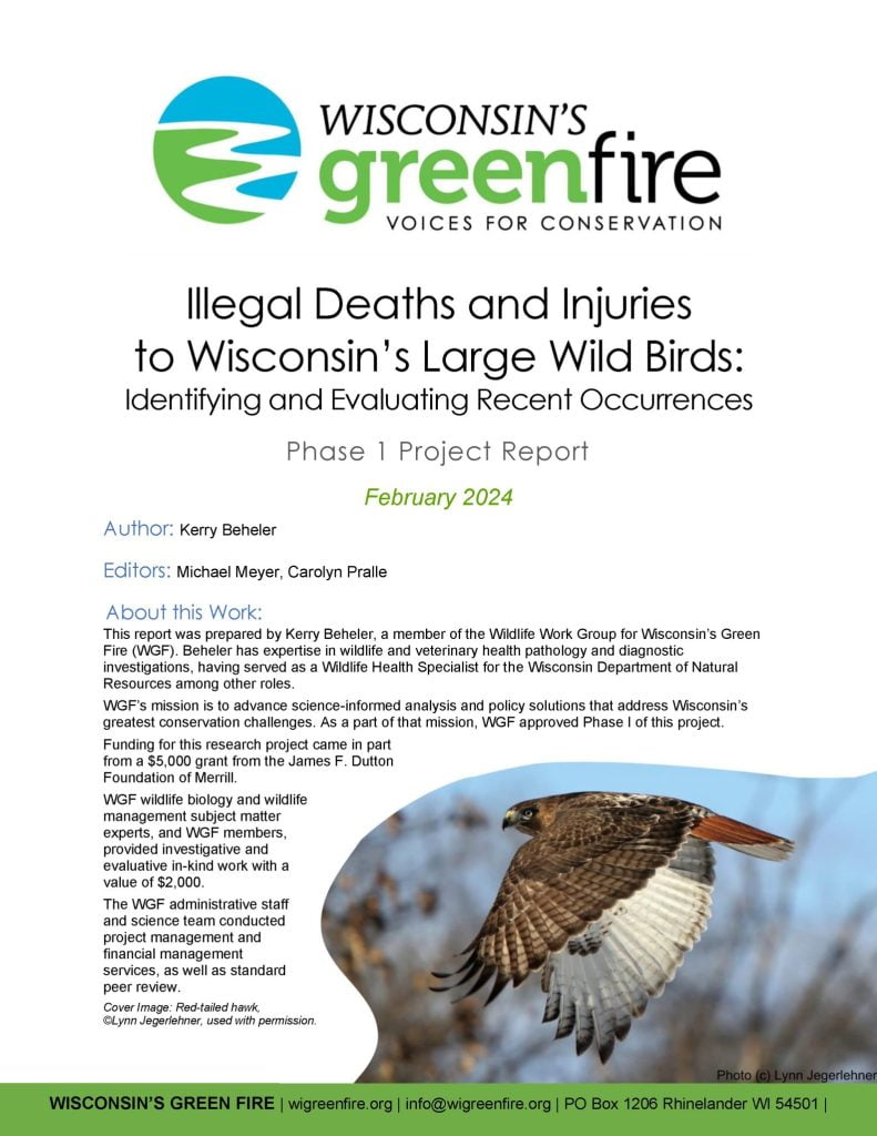 Illegal Deaths and Injuries to Wisconsin’s Large Wild Birds report cover page