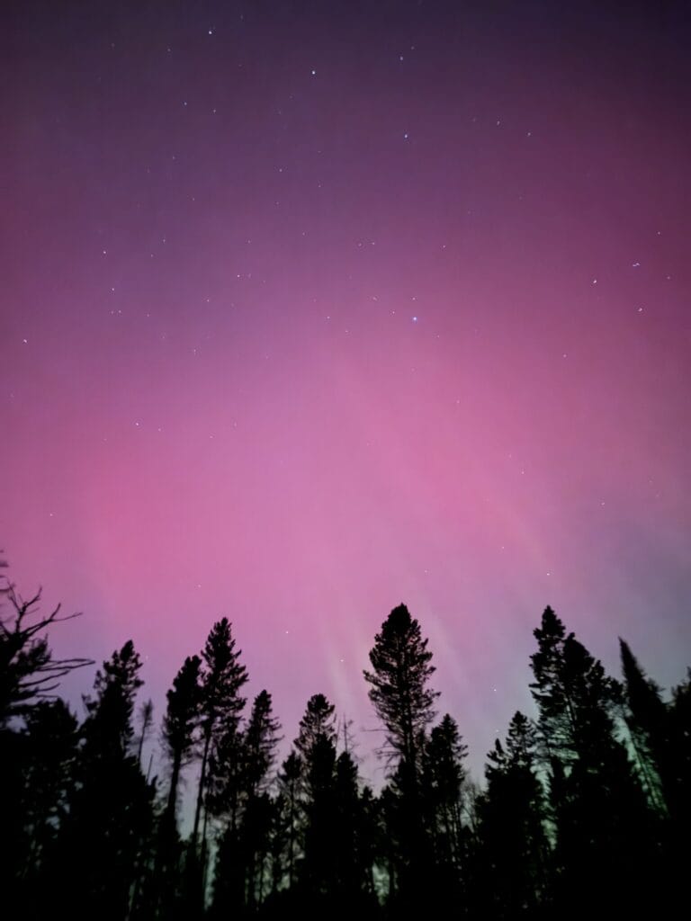 Northern-lights_VilasCty_10Oct24_DonBehm-2 (1) purple and pink aurora borealis glow over silhouetted evergreen trees