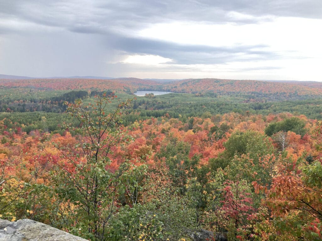 wide vista of forests and lake under cloudy skies
