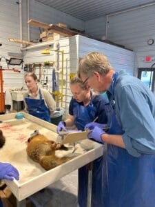 AFWA Necropsy Workshop