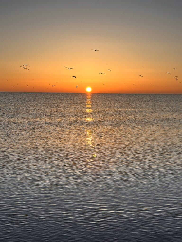 an orange and blue sunrise on Lake Superior with birds flying