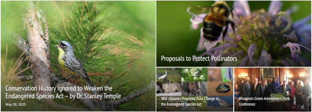 Sample gallery of WGF blog posts from April and May 2025