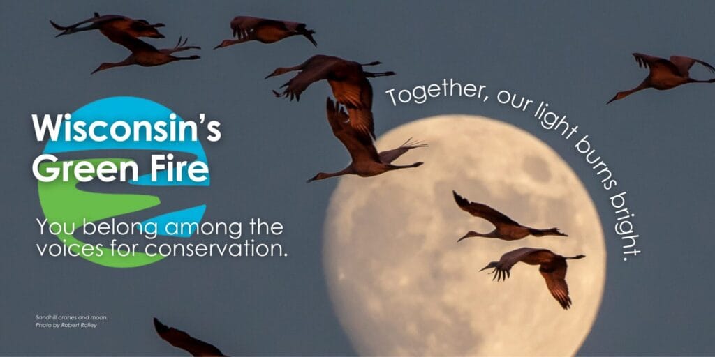 Sandhill cranes fly past a full moon, with text overlay and WGF logo